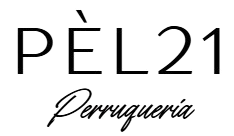 pel21 logo